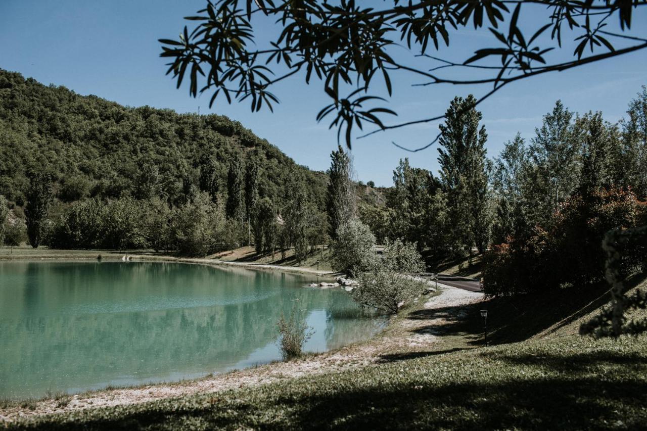 Bed and Breakfast L'Anfora Country Club Basciano Esterno foto