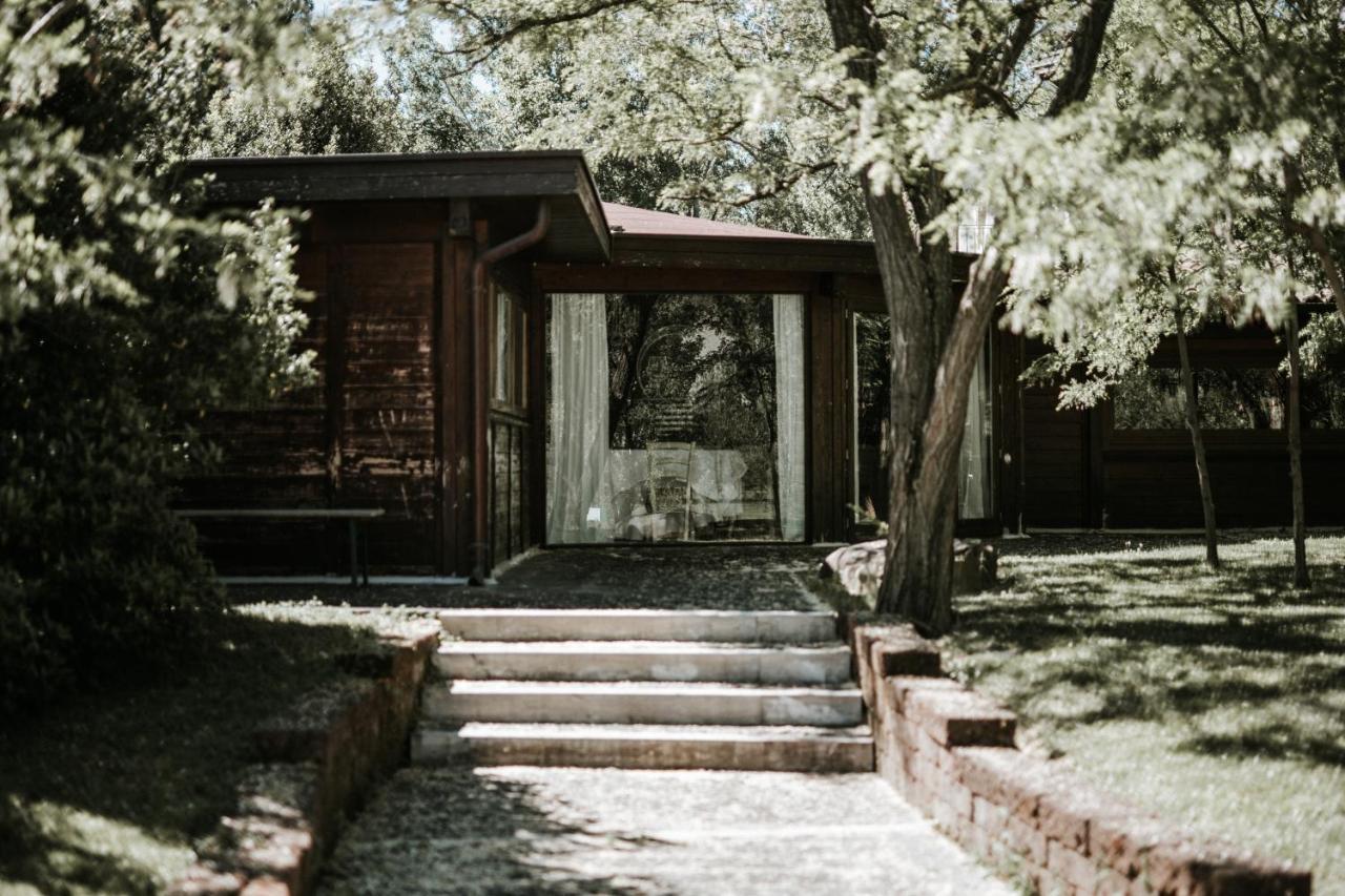 Bed and Breakfast L'Anfora Country Club Basciano Esterno foto