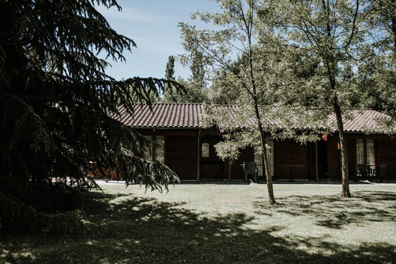 Bed and Breakfast L'Anfora Country Club Basciano Esterno foto