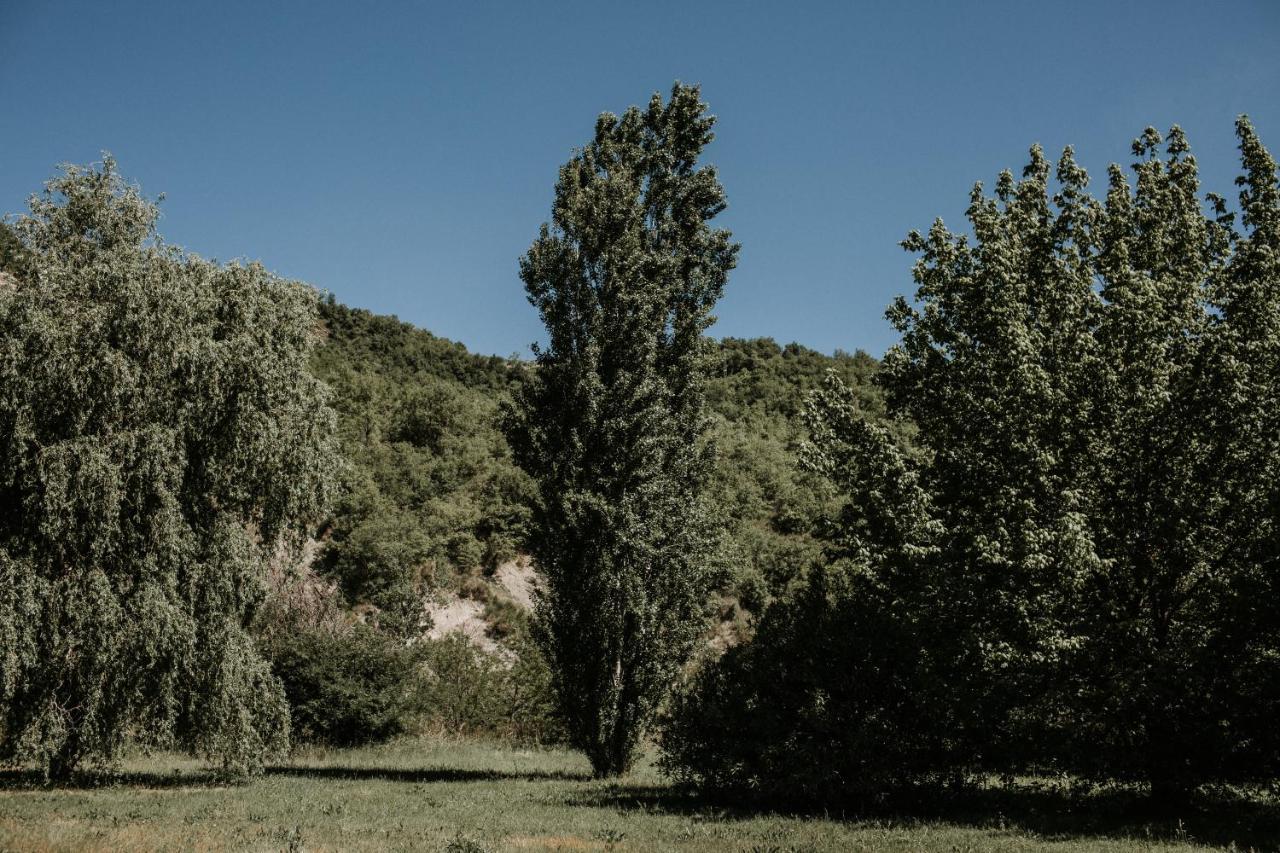 Bed and Breakfast L'Anfora Country Club Basciano Esterno foto
