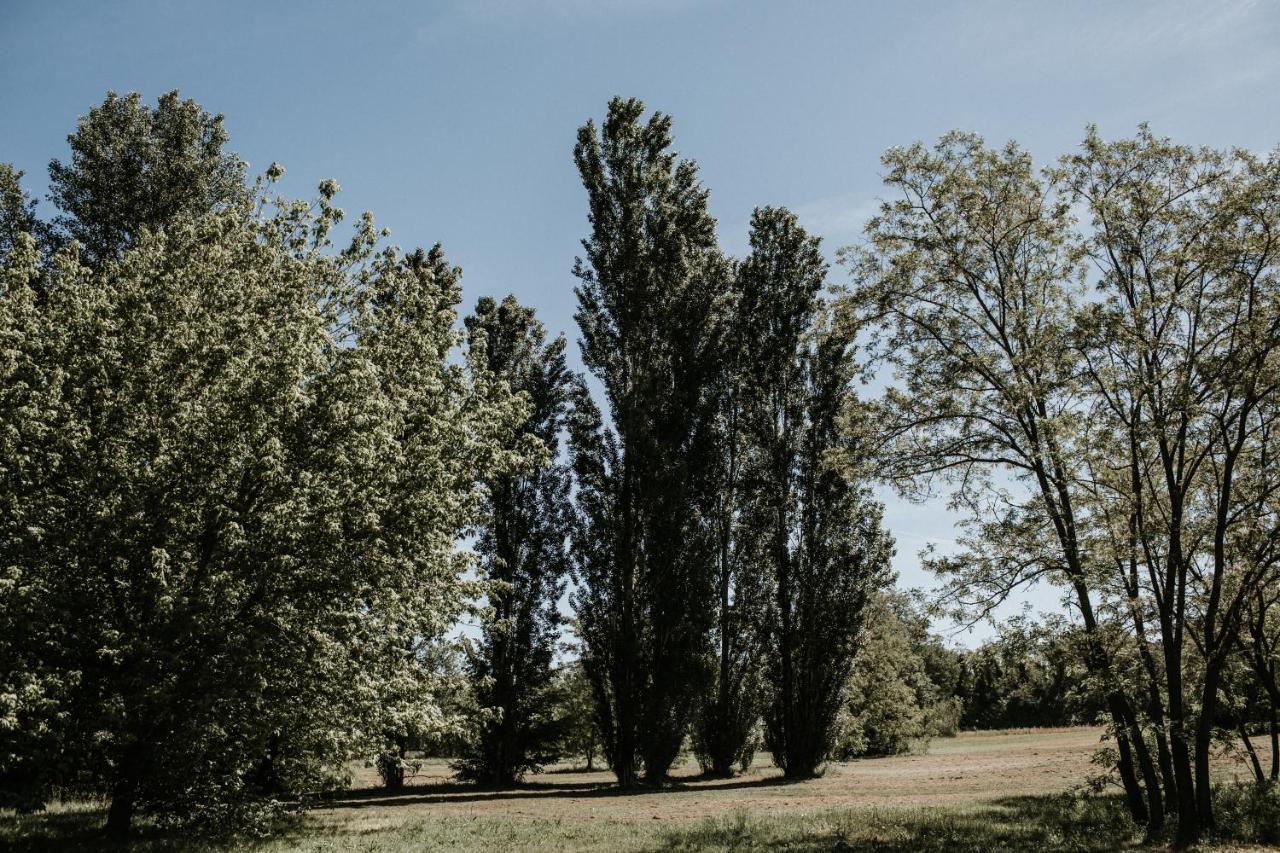 Bed and Breakfast L'Anfora Country Club Basciano Esterno foto